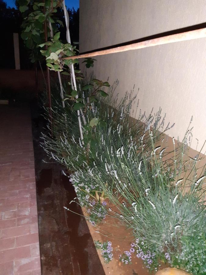 Studio Apartman San 3 Ližnjan Exteriör bild