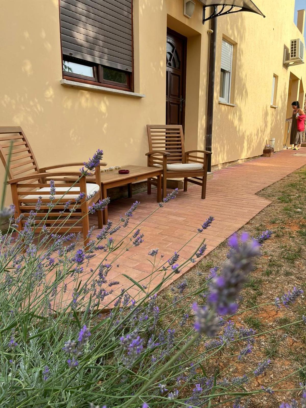 Studio Apartman San 3 Ližnjan Rum bild
