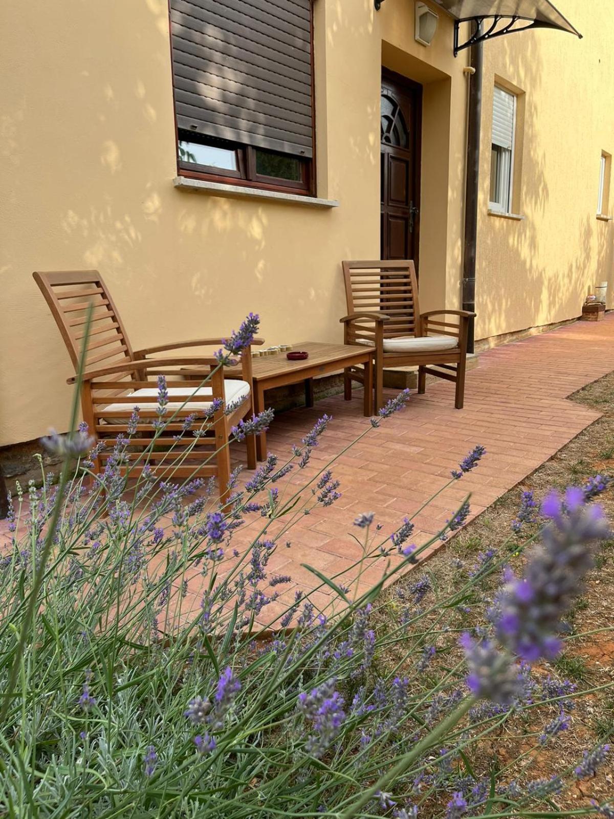 Studio Apartman San 3 Ližnjan Rum bild