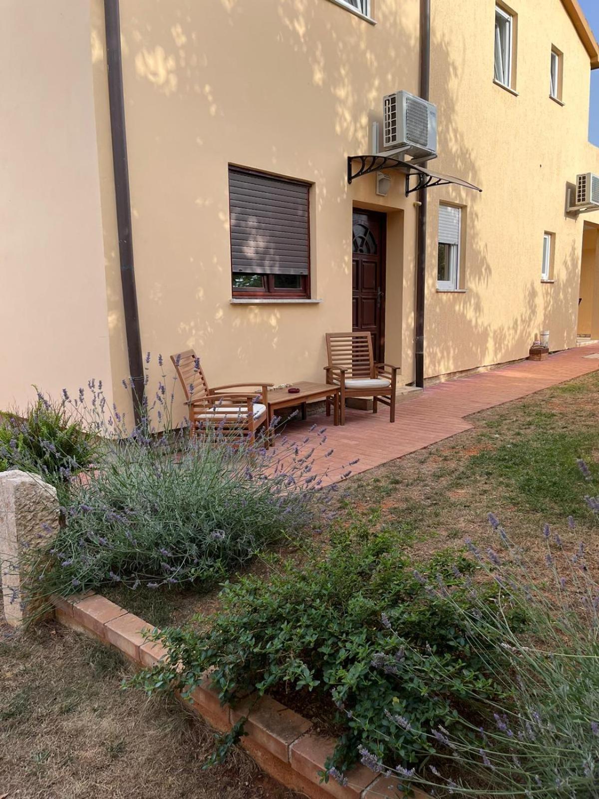 Studio Apartman San 3 Ližnjan Rum bild